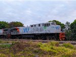 VLI 6184